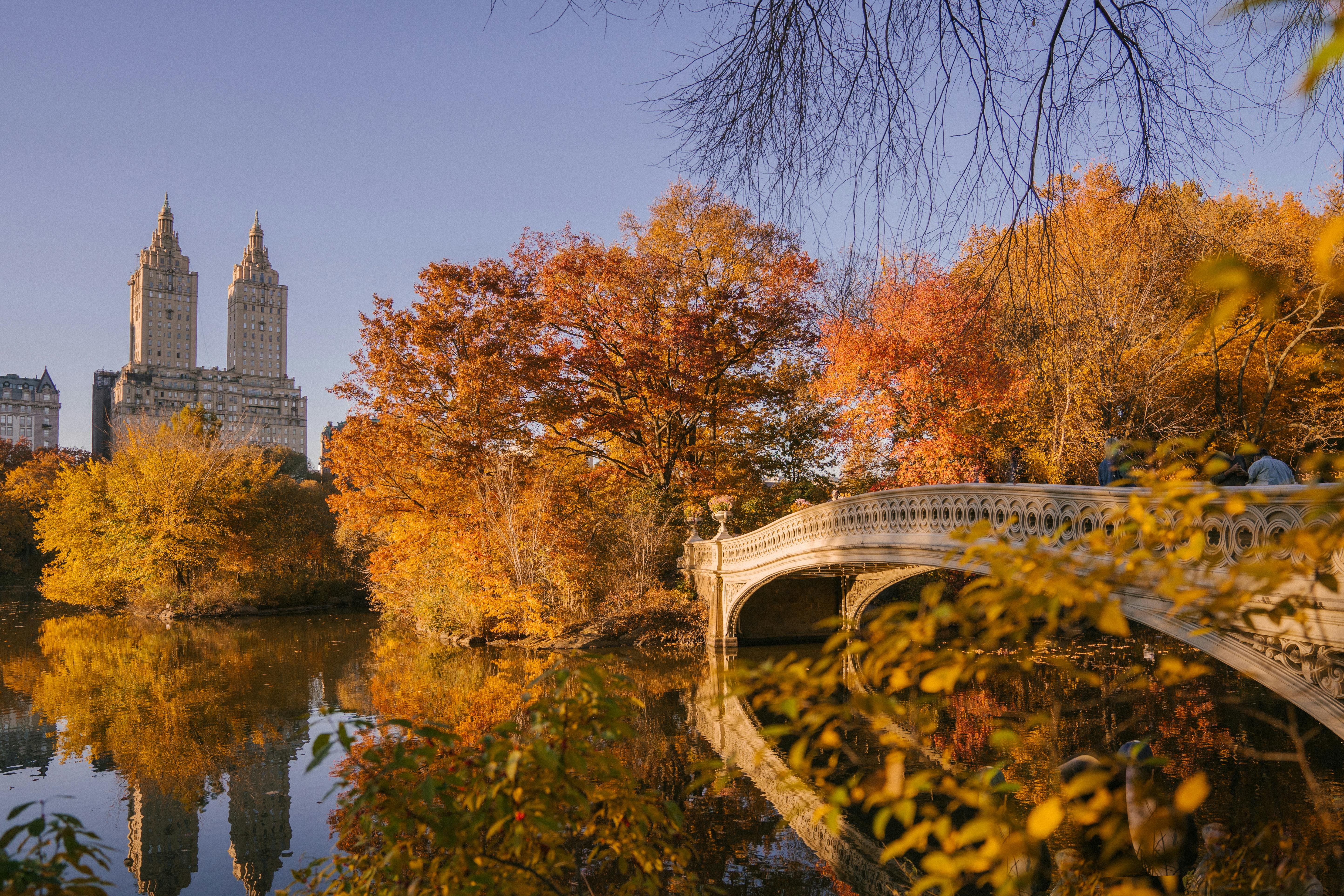 Autumn scene in Central Park with colorful foliage, Bow Bridge, and city buildings reflected in lake.
